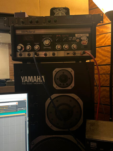 Roland Tape Echo